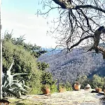 Domaine De La Maziere *