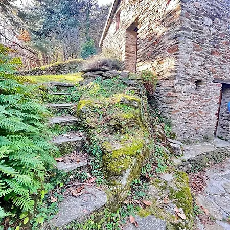 Domaine De La Maziere