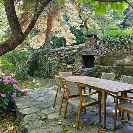 Domaine De La Maziere